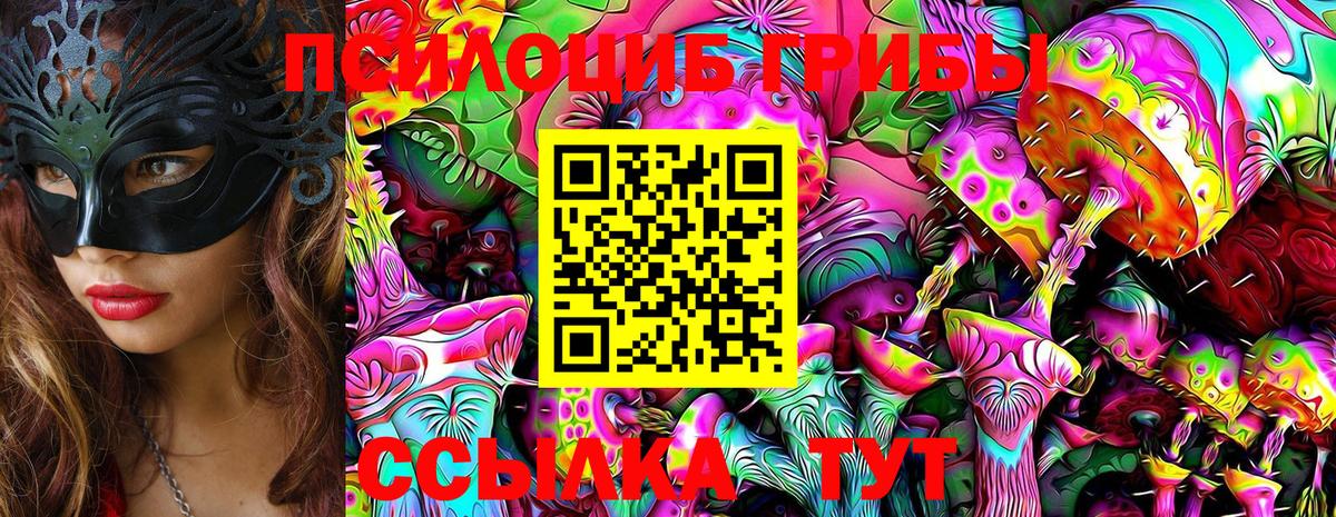 Псилоцибиновые грибы Psilocybe  цена   Арзамас  Вход с VPN 