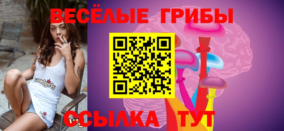 Псилоцибиновые грибы мицелий Арзамас